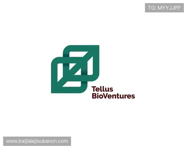 确保AG国际厅会员登录安全，避免账号被盗的实用技巧分享