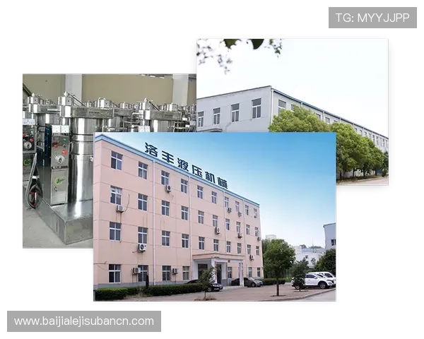 瑞丰乐投：全面解析其投资优势与市场前景展望