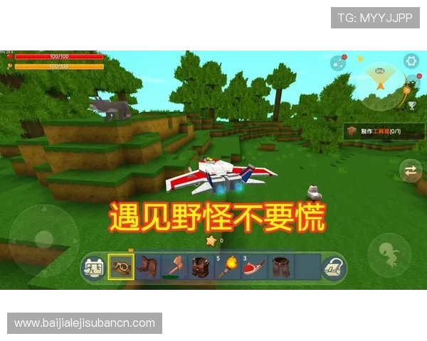 沙巴真人游戏完整版下载的常用技巧与玩法攻略，助你轻松获胜